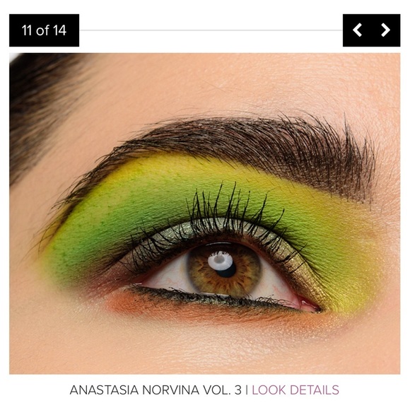 Anastasia Beverly Hills Norvina Vol 3 Pro Pigment Palette - Picture 11 of 15